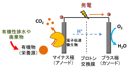 什么是微生物燃料電池？